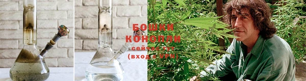 прущая мука Нея